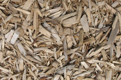 biomass boilers Craigmaud
