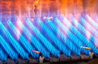 Craigmaud gas fired boilers